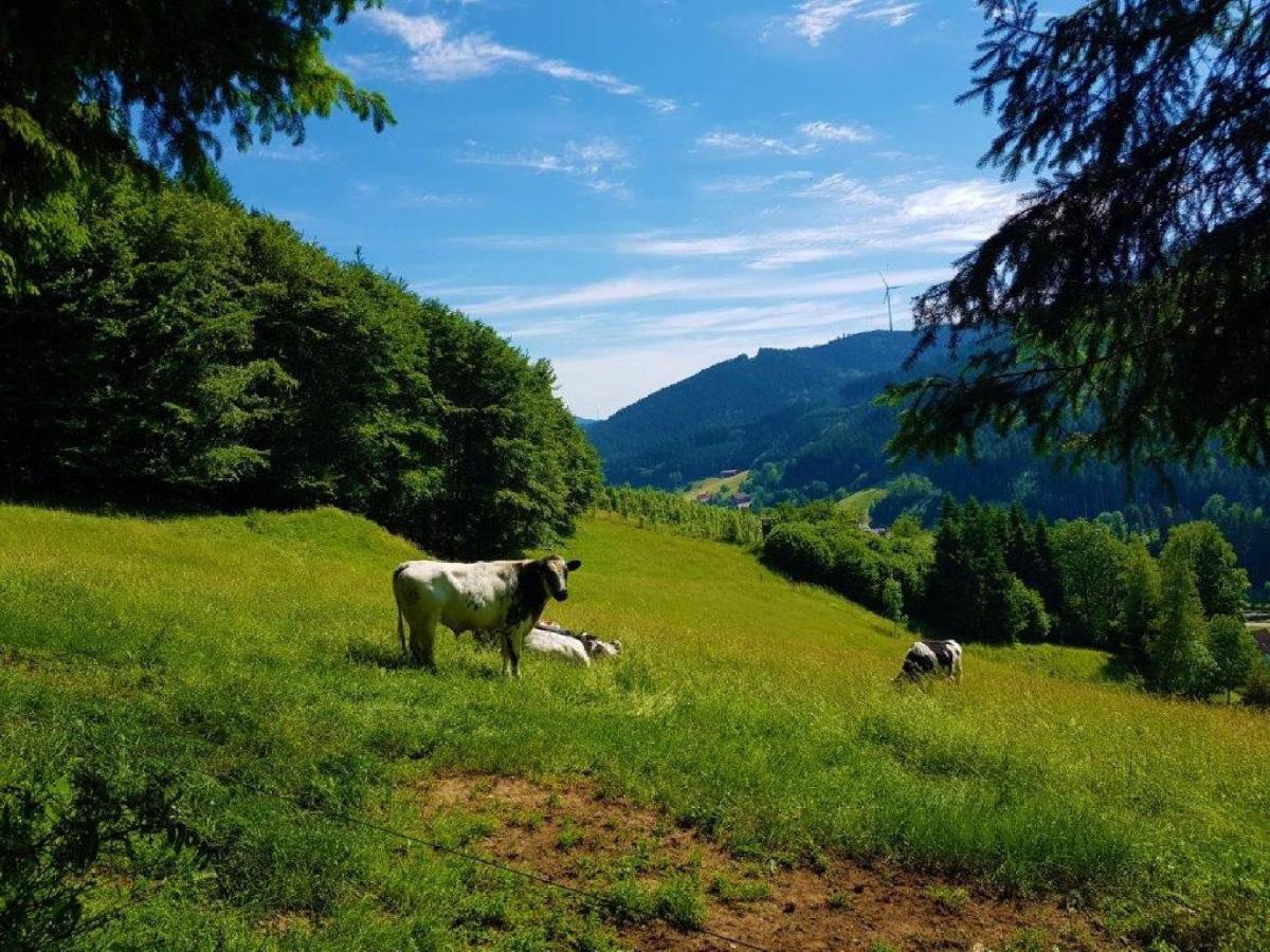 Hotel Walkenstein Oberwolfach ภายนอก รูปภาพ