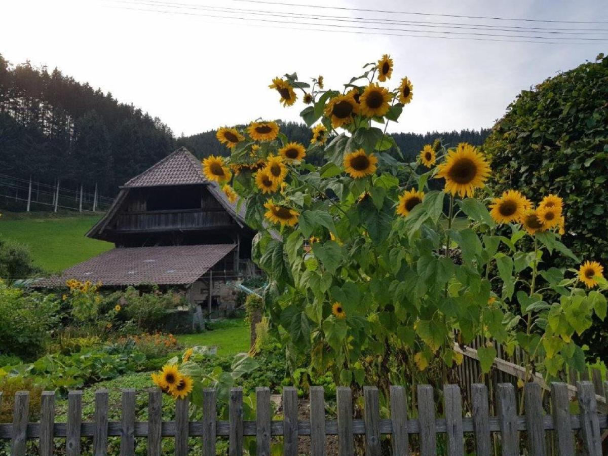 Hotel Walkenstein Oberwolfach ภายนอก รูปภาพ